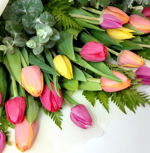 tulipanes de cerca