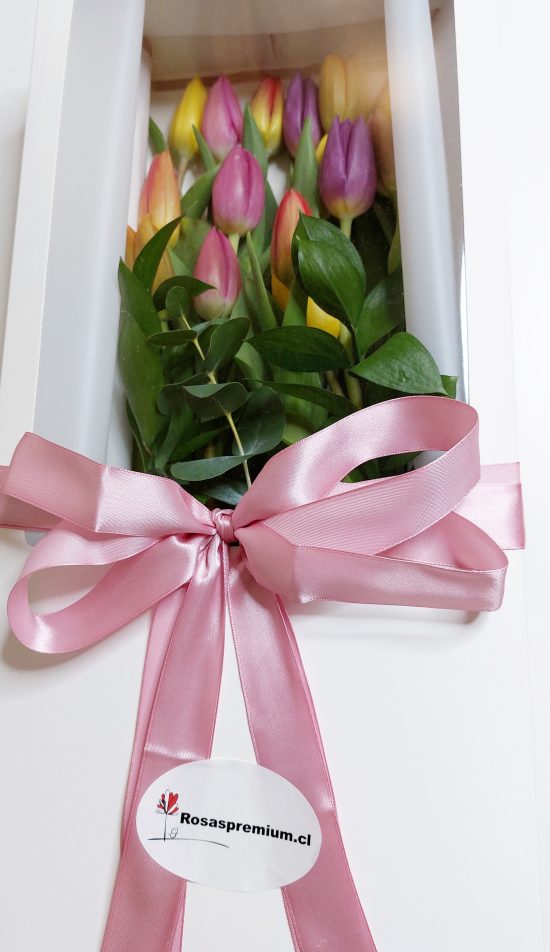 caja de tulipanes